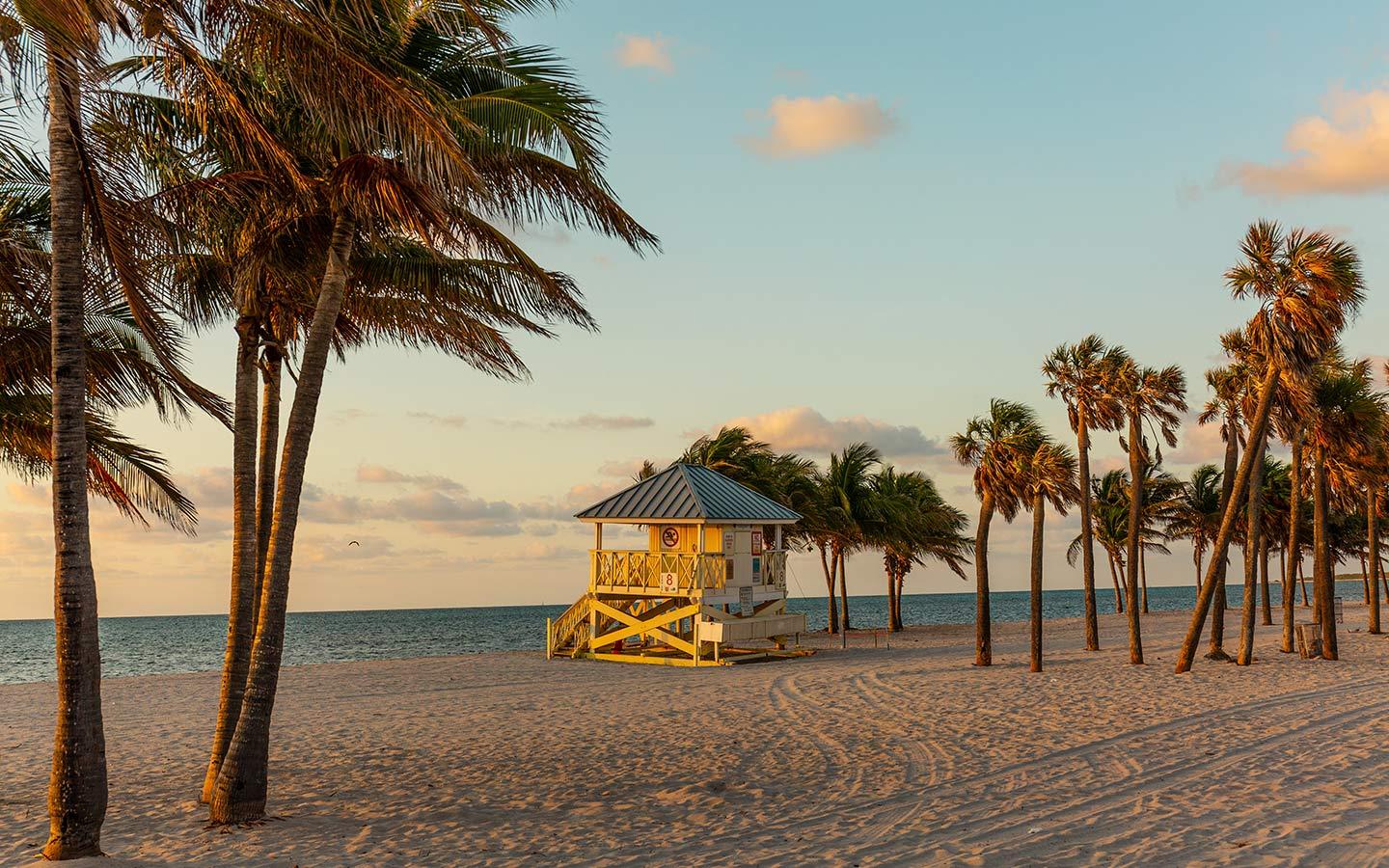 Playa de arena blanca bordeada de palmeras con una torre de salvavidas al atardecer en Crandon Park, Key Biscayne, Florida