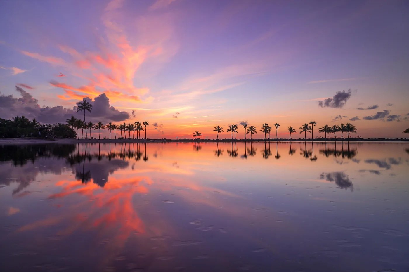 Sunset over Biscayne Bay at Matheson Hammock Park, with a line of palm trees reflected in the still water